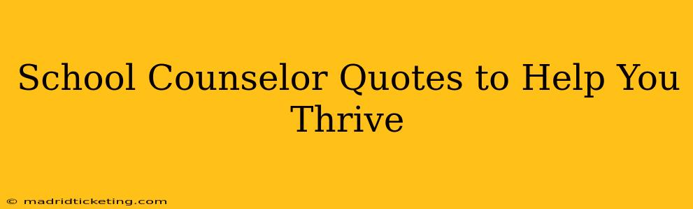 School Counselor Quotes to Help You Thrive