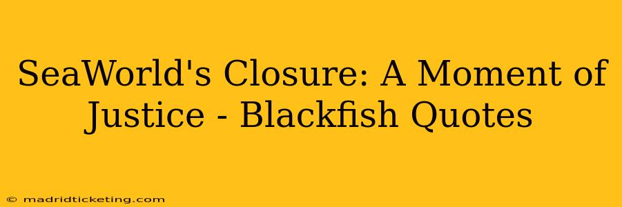 SeaWorld's Closure: A Moment of Justice - Blackfish Quotes