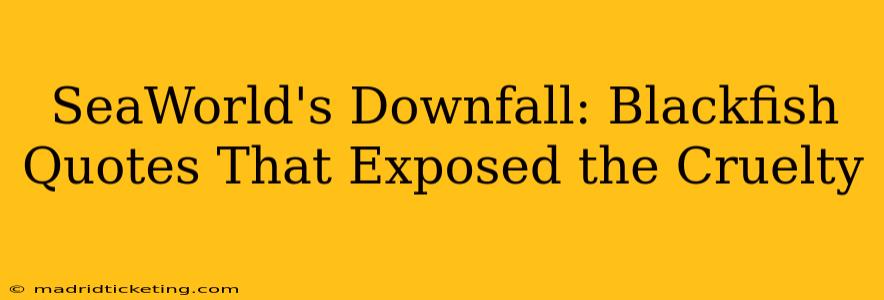 SeaWorld's Downfall: Blackfish Quotes That Exposed the Cruelty
