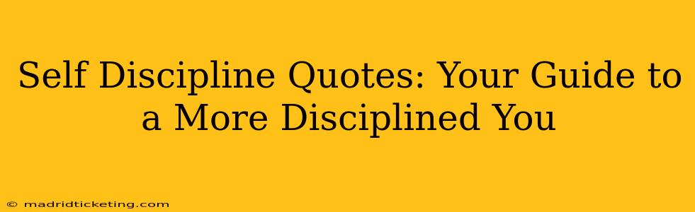 Self Discipline Quotes: Your Guide to a More Disciplined You