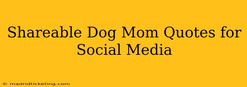 Shareable Dog Mom Quotes for Social Media