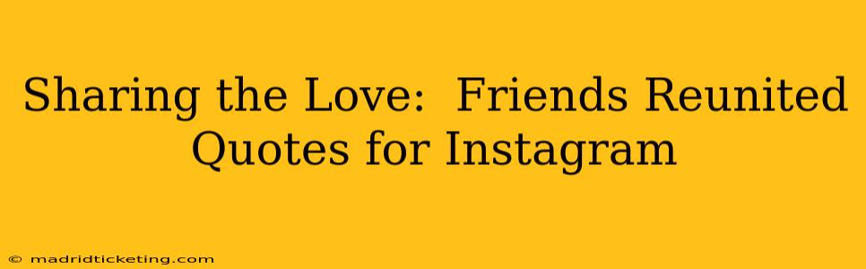 Sharing the Love:  Friends Reunited Quotes for Instagram