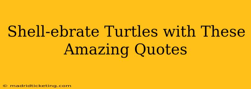 Shell-ebrate Turtles with These Amazing Quotes