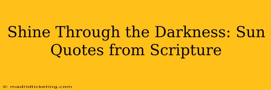Shine Through the Darkness: Sun Quotes from Scripture