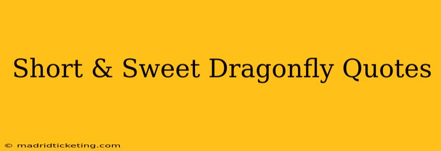 Short & Sweet Dragonfly Quotes