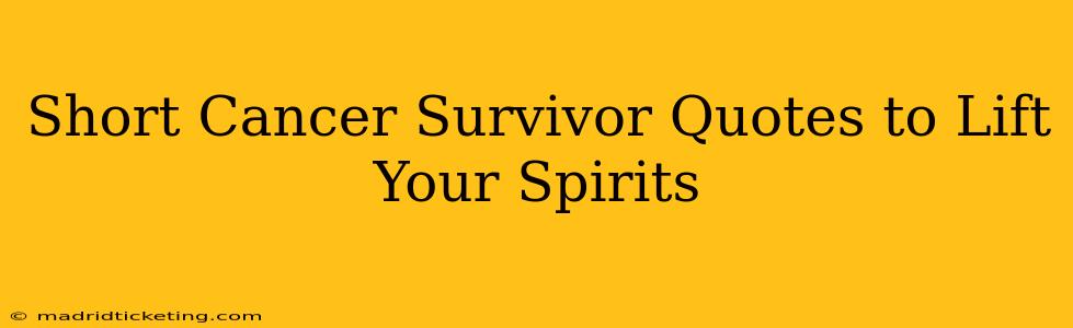 Short Cancer Survivor Quotes to Lift Your Spirits