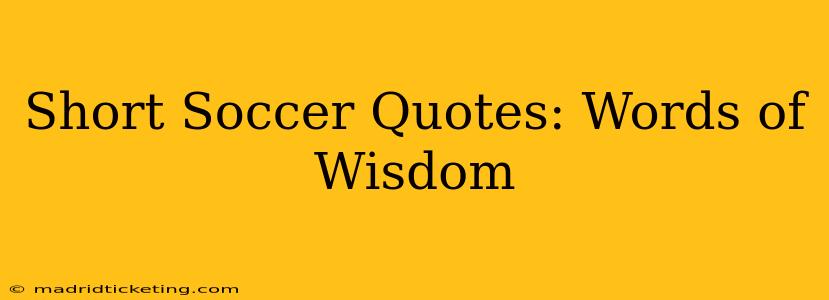 Short Soccer Quotes: Words of Wisdom