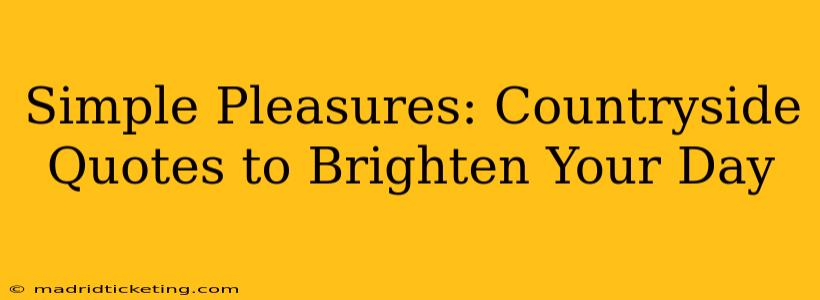 Simple Pleasures: Countryside Quotes to Brighten Your Day