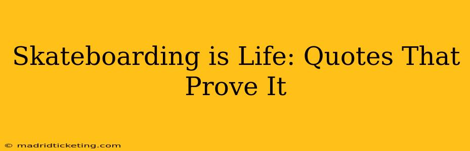 Skateboarding is Life: Quotes That Prove It