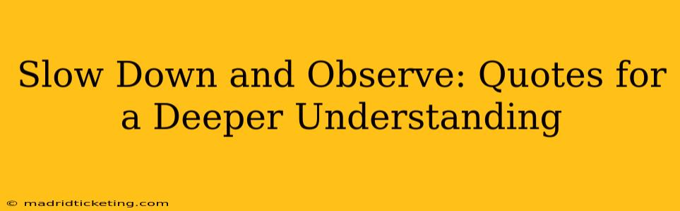 Slow Down and Observe: Quotes for a Deeper Understanding