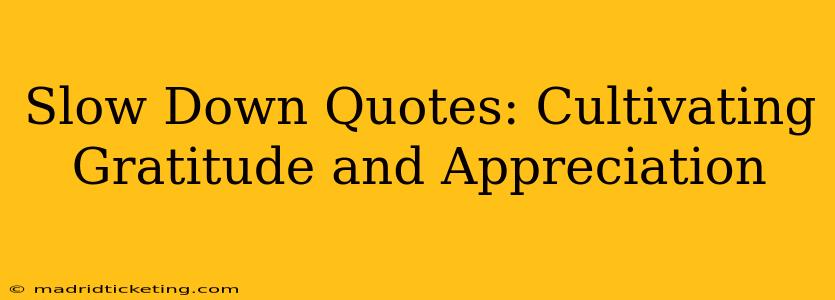 Slow Down Quotes: Cultivating Gratitude and Appreciation