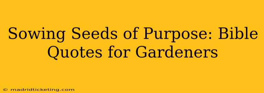 Sowing Seeds of Purpose: Bible Quotes for Gardeners