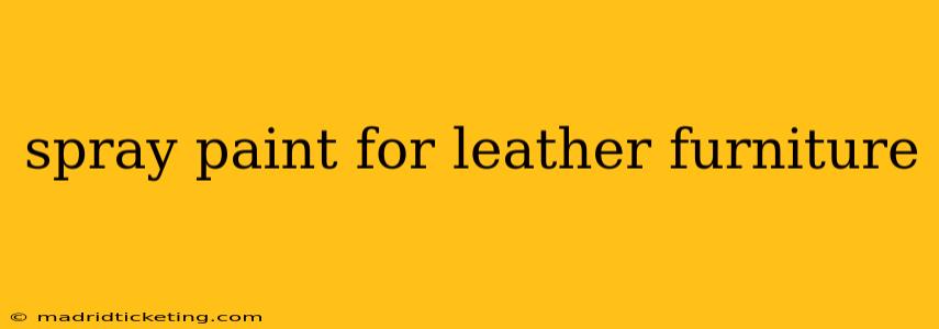 spray paint for leather furniture