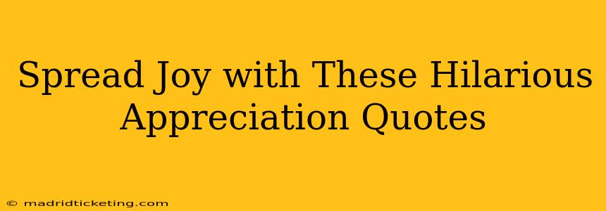 Spread Joy with These Hilarious Appreciation Quotes