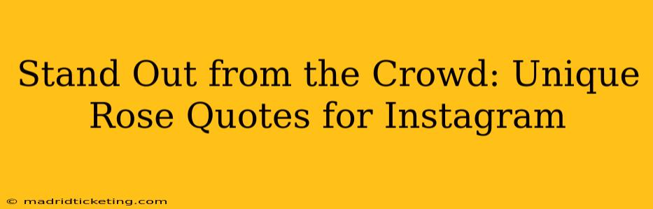Stand Out from the Crowd: Unique Rose Quotes for Instagram