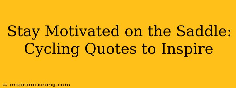Stay Motivated on the Saddle: Cycling Quotes to Inspire