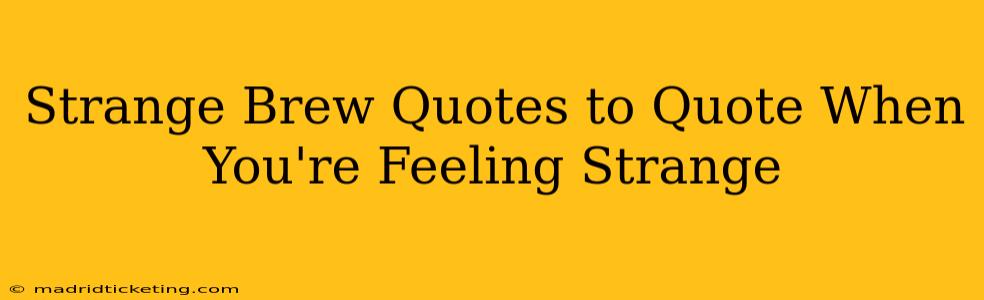 Strange Brew Quotes to Quote When You're Feeling Strange