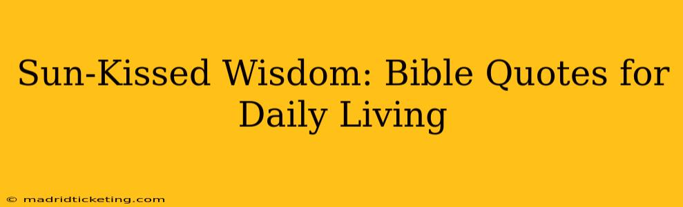 Sun-Kissed Wisdom: Bible Quotes for Daily Living