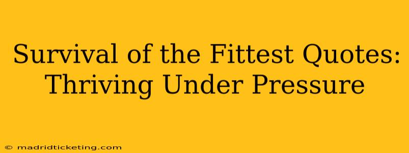 Survival of the Fittest Quotes:  Thriving Under Pressure