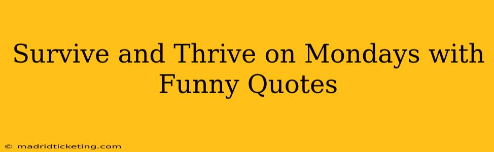 Survive and Thrive on Mondays with Funny Quotes