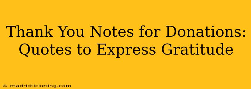 Thank You Notes for Donations:  Quotes to Express Gratitude