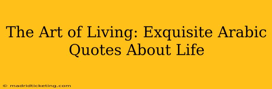 The Art of Living: Exquisite Arabic Quotes About Life