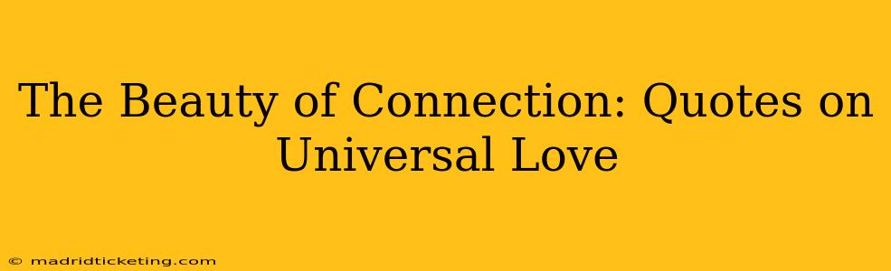 The Beauty of Connection: Quotes on Universal Love