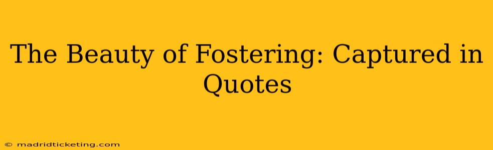 The Beauty of Fostering: Captured in Quotes