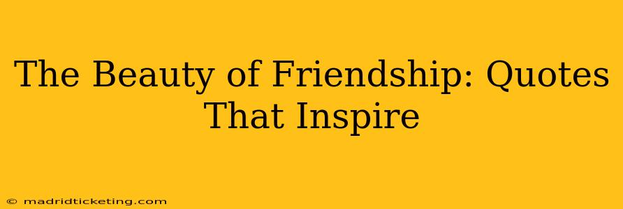 The Beauty of Friendship: Quotes That Inspire