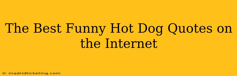 The Best Funny Hot Dog Quotes on the Internet