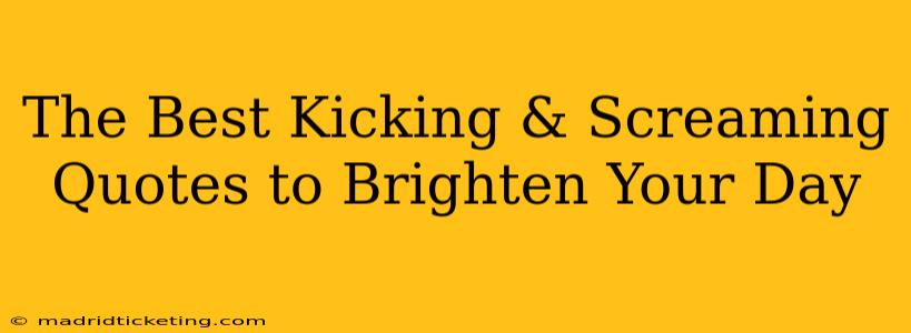 The Best Kicking & Screaming Quotes to Brighten Your Day