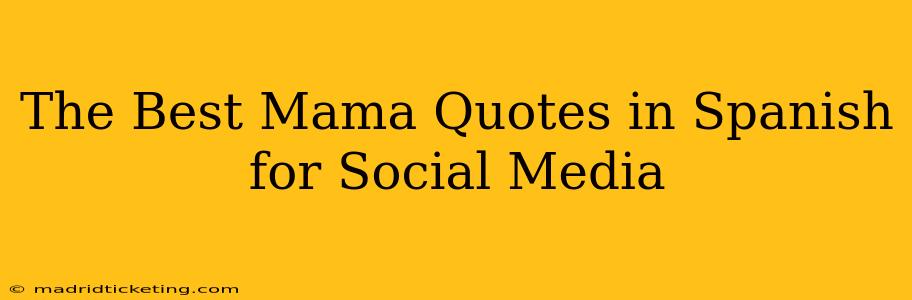 The Best Mama Quotes in Spanish for Social Media