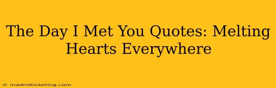 The Day I Met You Quotes: Melting Hearts Everywhere