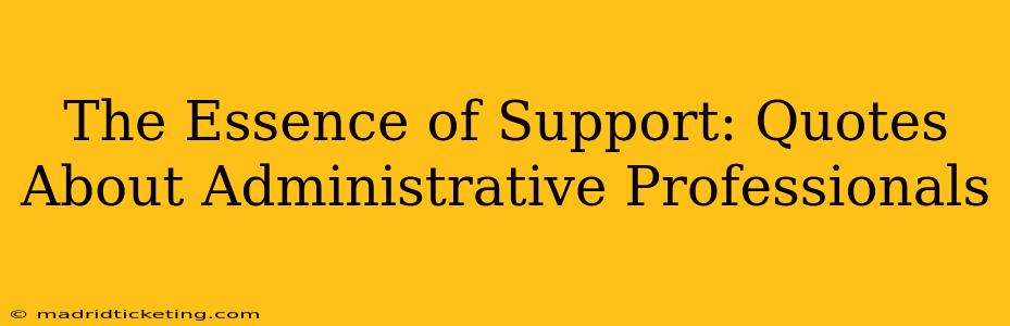 The Essence of Support: Quotes About Administrative Professionals