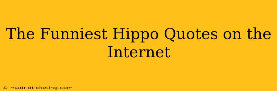 The Funniest Hippo Quotes on the Internet
