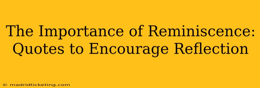 The Importance of Reminiscence: Quotes to Encourage Reflection