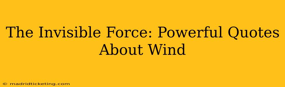 The Invisible Force: Powerful Quotes About Wind