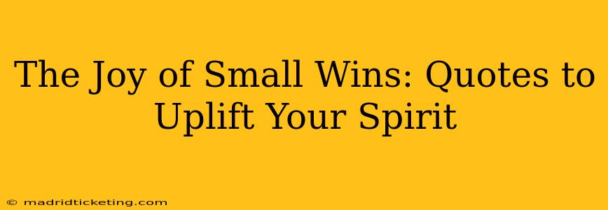 The Joy of Small Wins: Quotes to Uplift Your Spirit