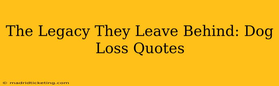 The Legacy They Leave Behind: Dog Loss Quotes