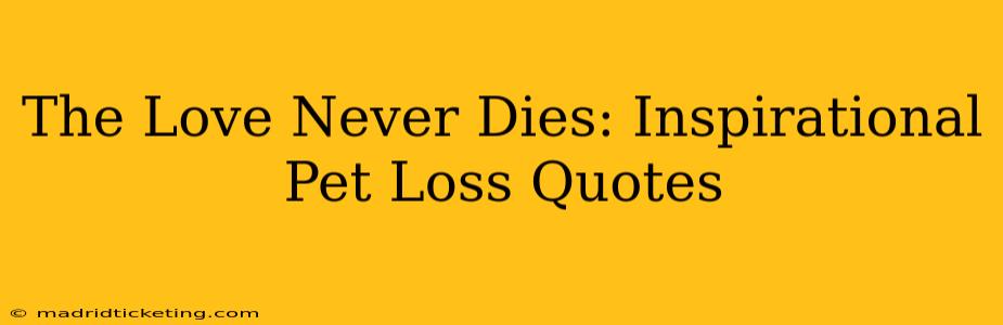 The Love Never Dies: Inspirational Pet Loss Quotes