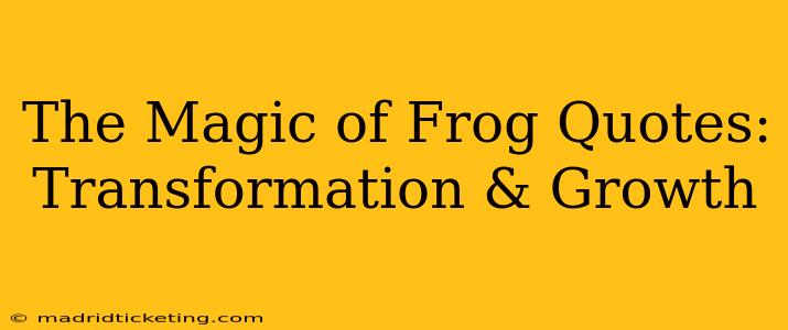 The Magic of Frog Quotes: Transformation & Growth
