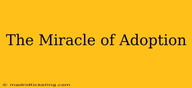 The Miracle of Adoption
