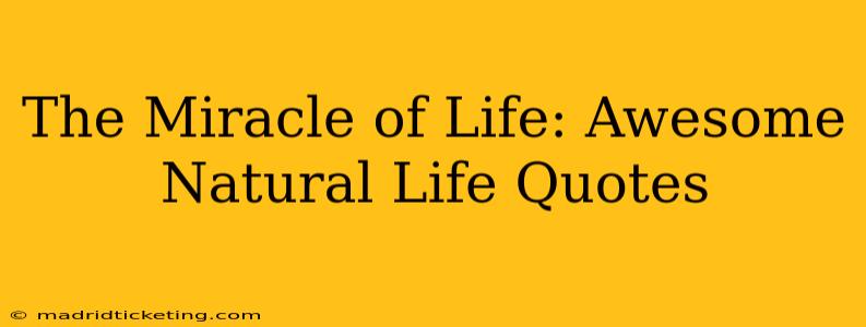 The Miracle of Life: Awesome Natural Life Quotes