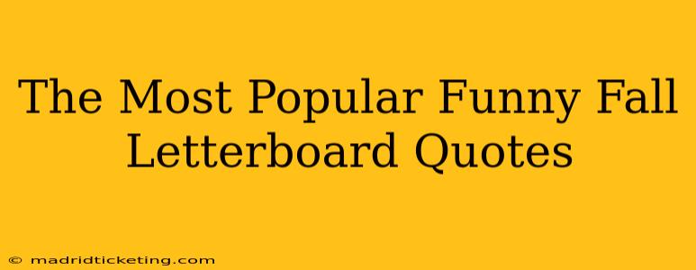 The Most Popular Funny Fall Letterboard Quotes