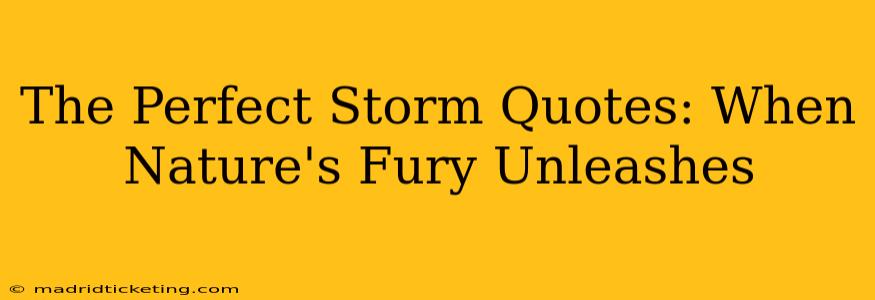 The Perfect Storm Quotes: When Nature's Fury Unleashes