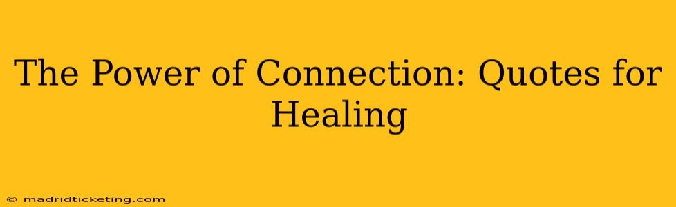The Power of Connection: Quotes for Healing