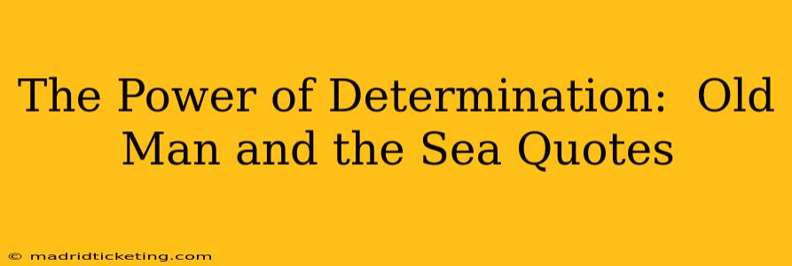 The Power of Determination:  Old Man and the Sea Quotes