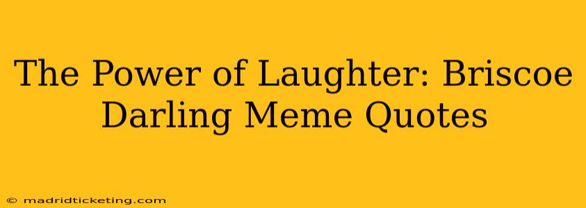 The Power of Laughter: Briscoe Darling Meme Quotes