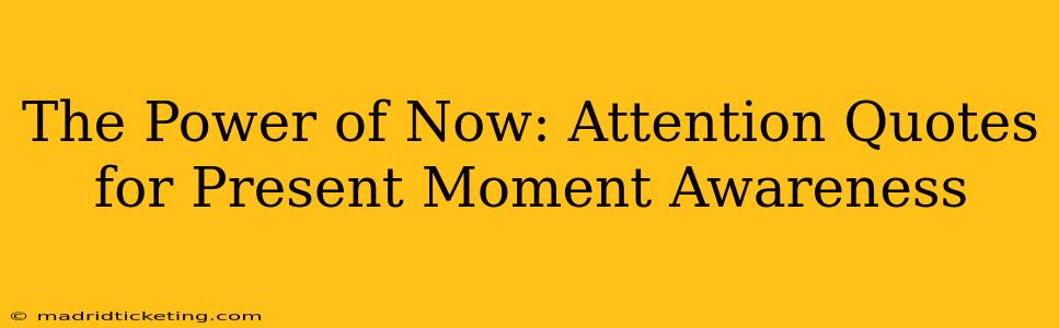 The Power of Now: Attention Quotes for Present Moment Awareness
