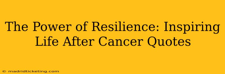 The Power of Resilience: Inspiring Life After Cancer Quotes
